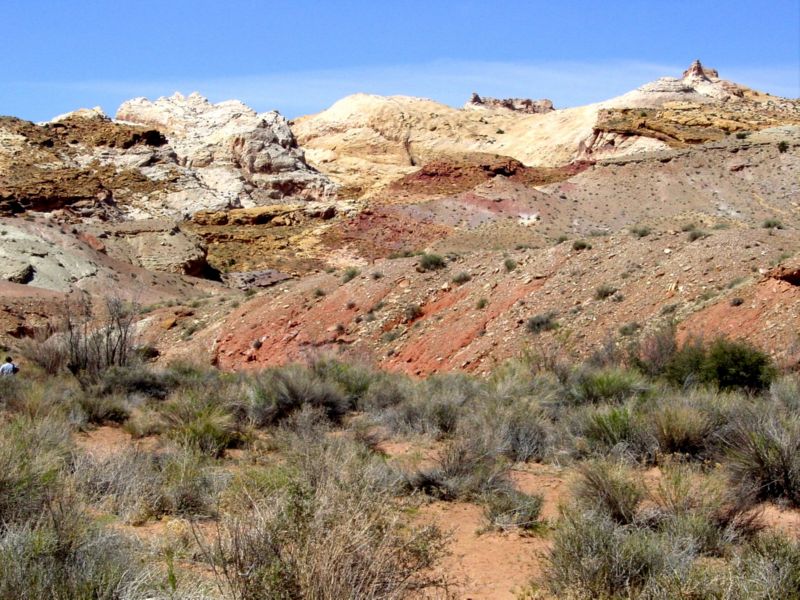 04160302LittleWildHorse (1009)